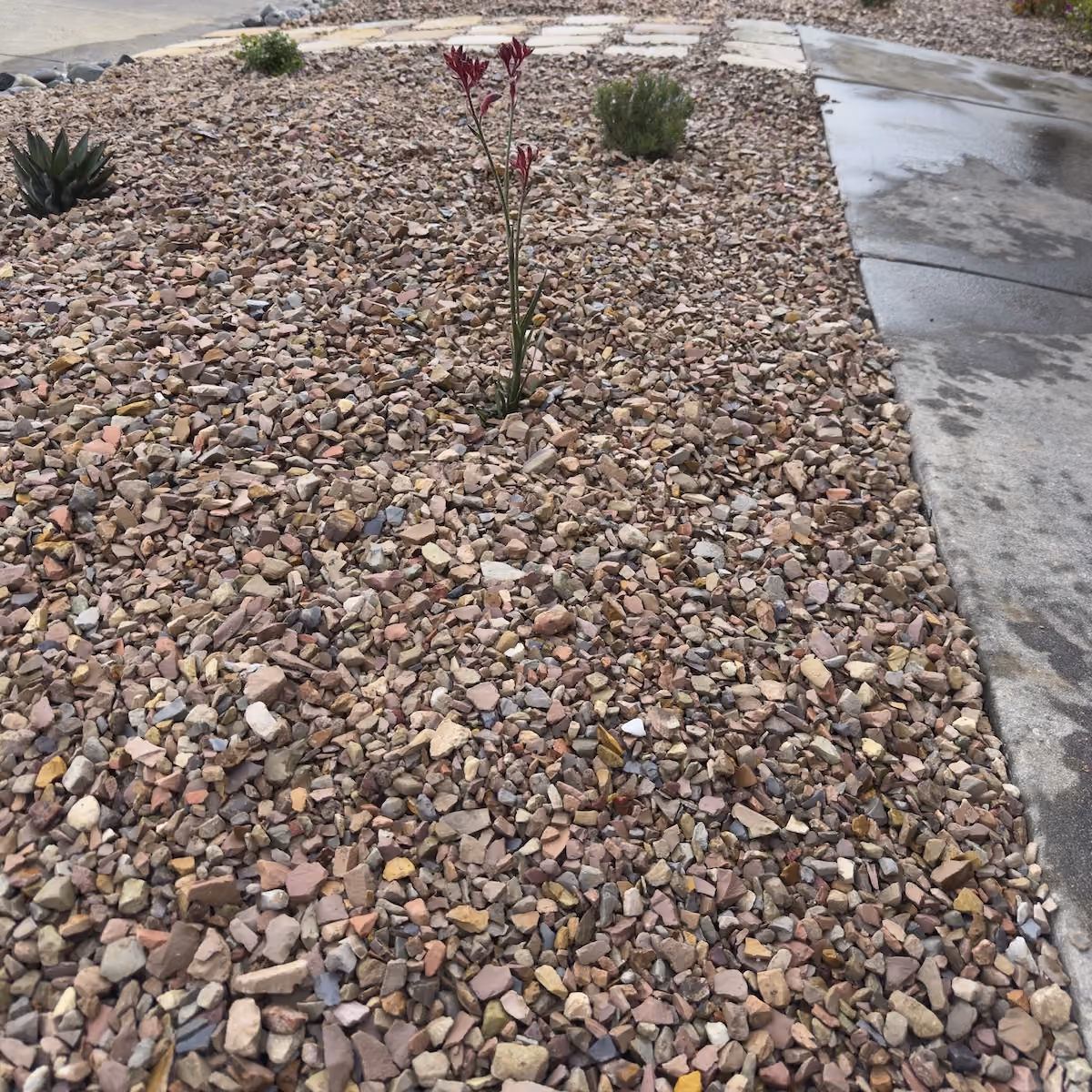 E&E Lawn Care professional landscape maintenance in the Sacramento area
