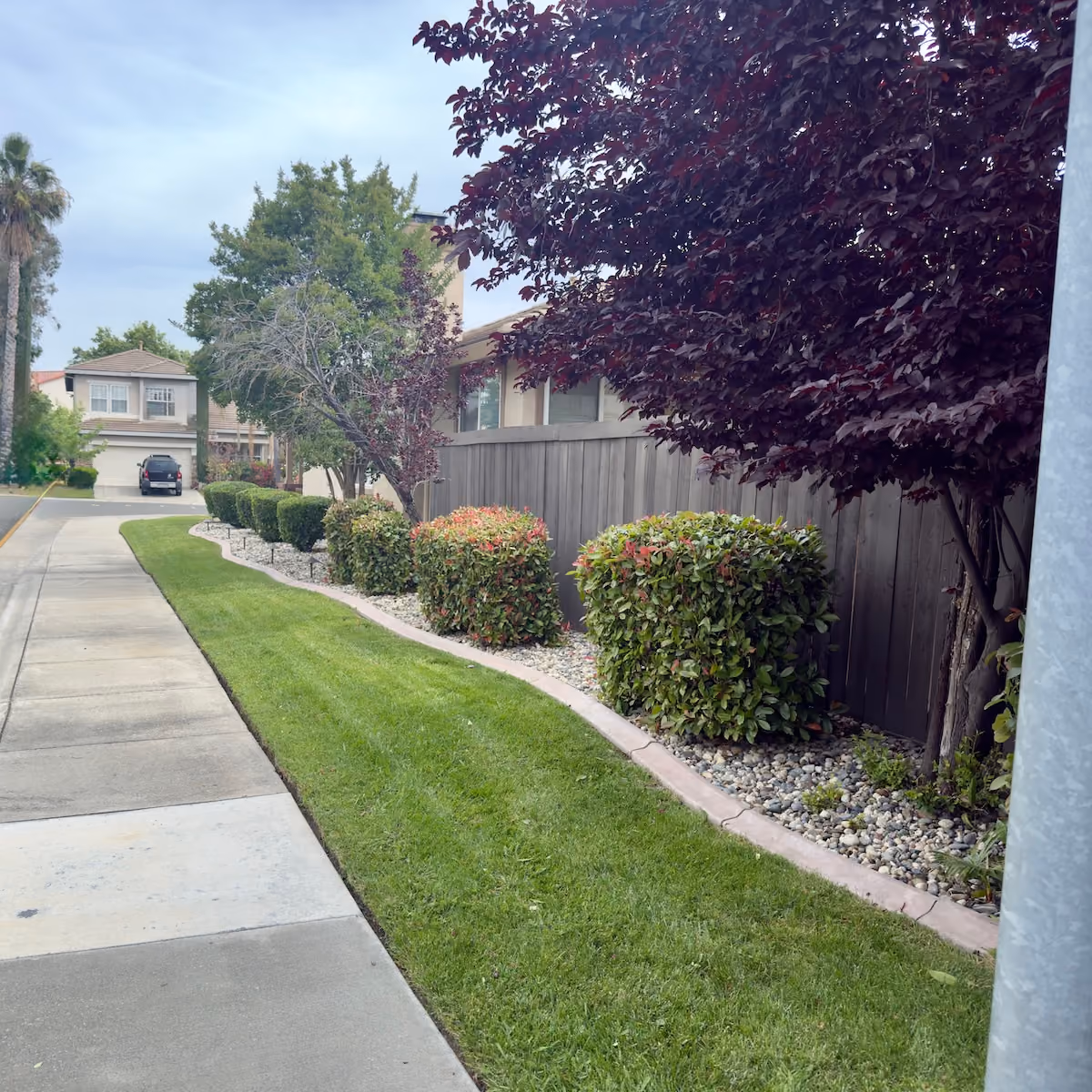 Commercial lawn care near me by E&E Lawn Care in Sacramento