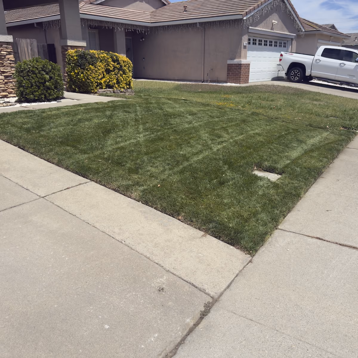 Professional HOA landscape maintenance in Sacramento, California
