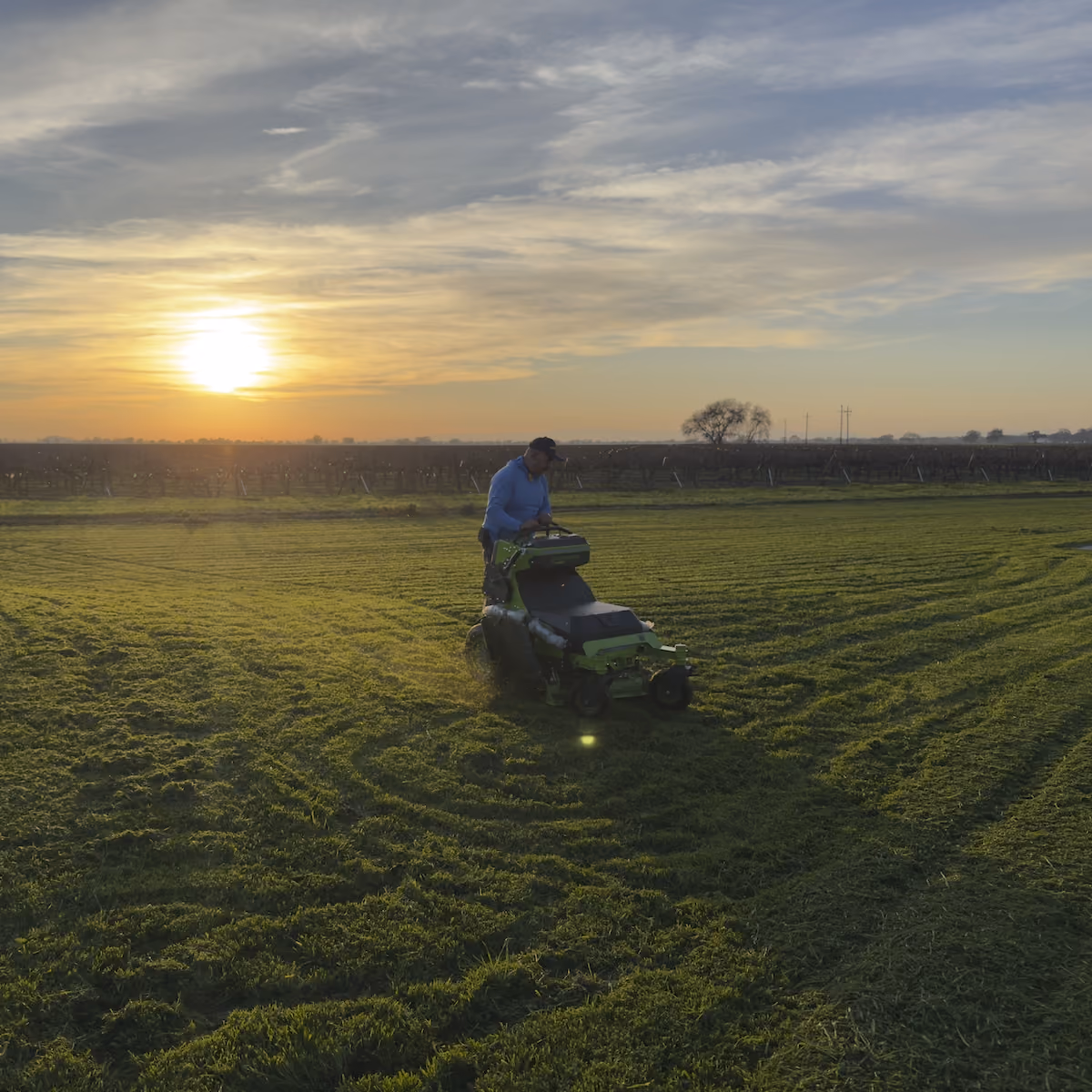 Professional lawn mowing, edging, and trimming in Sacramento, California