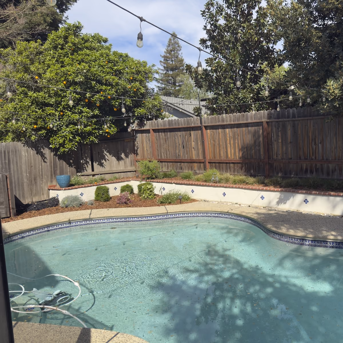 New plants and landscape improvements installed in Sacramento, California

