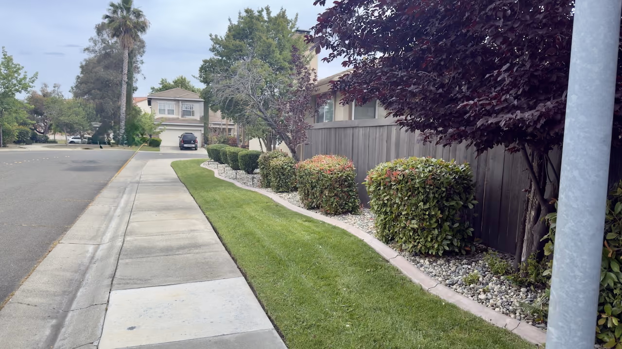 Tree and shrub trimming by E&E Lawn Care in Sacramento, California