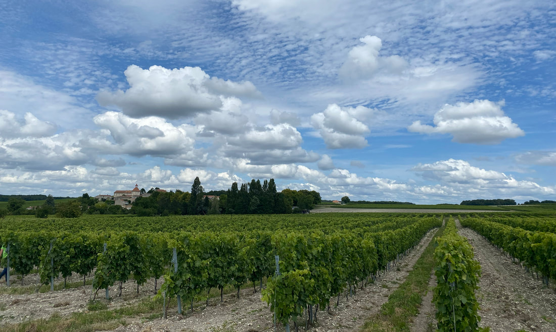 Avanelle Wine Company