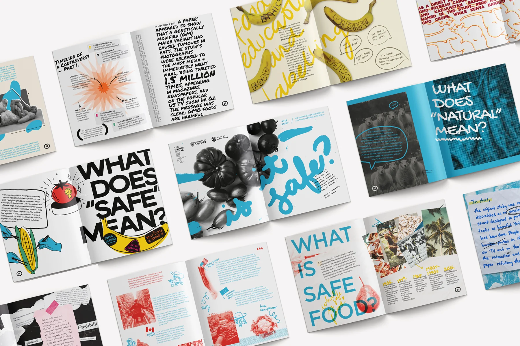 Simpson Centre — GMO chapbook spread with handcrafted illustration