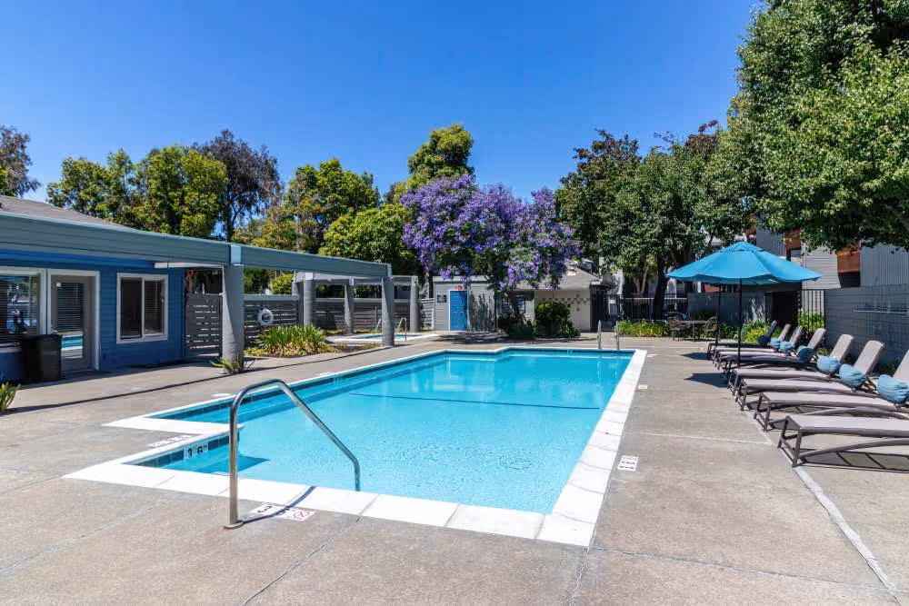 Pool area with furniture
