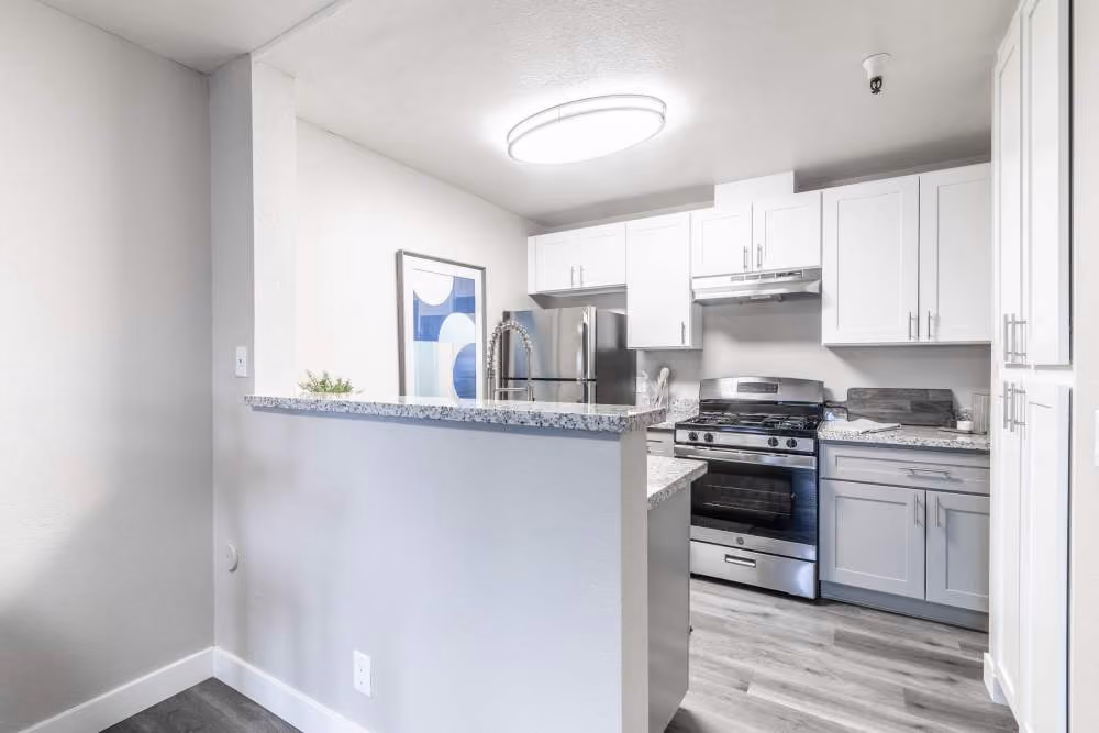 Kitchen with appliances