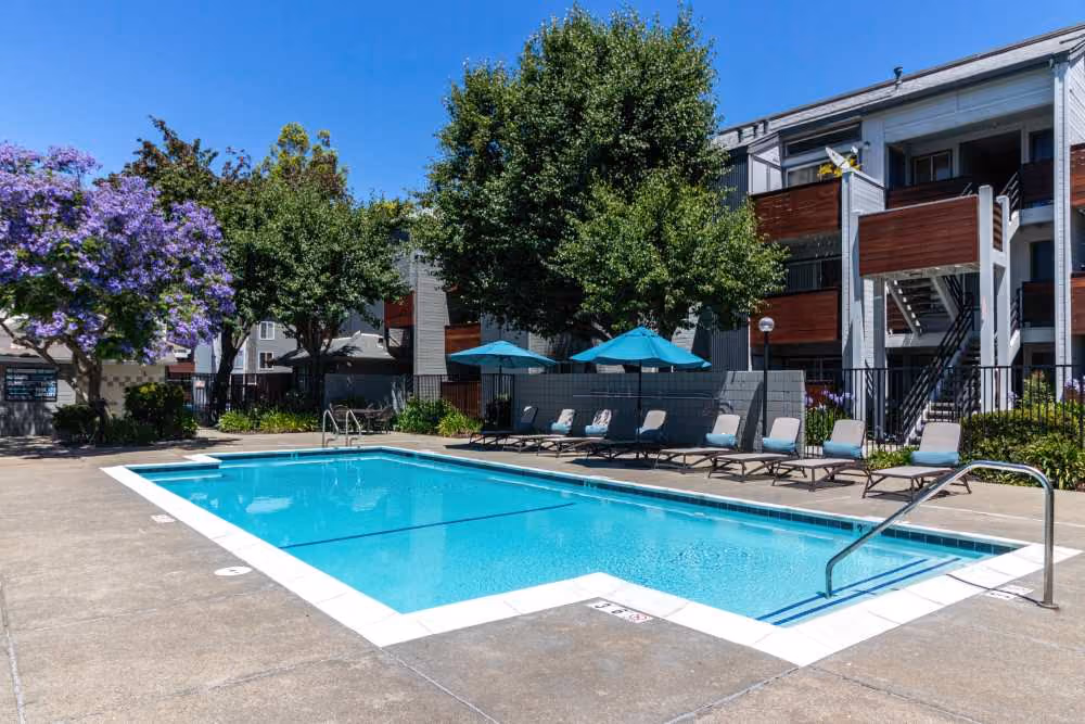 Pool deck area