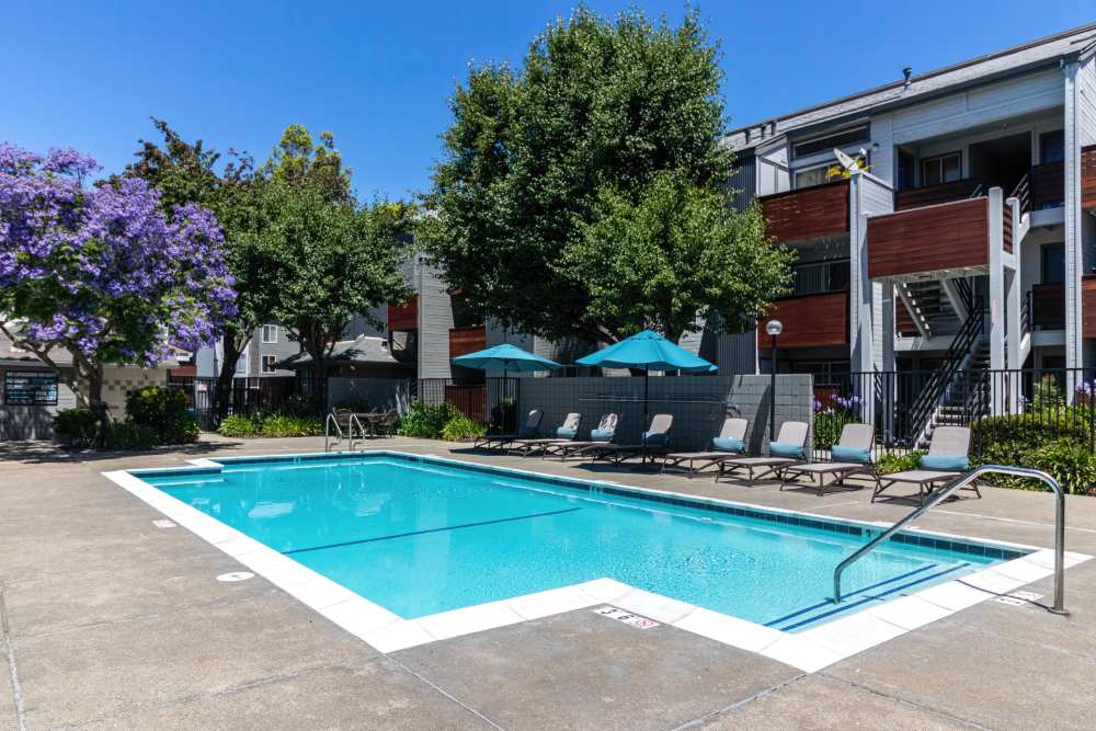Pool deck area