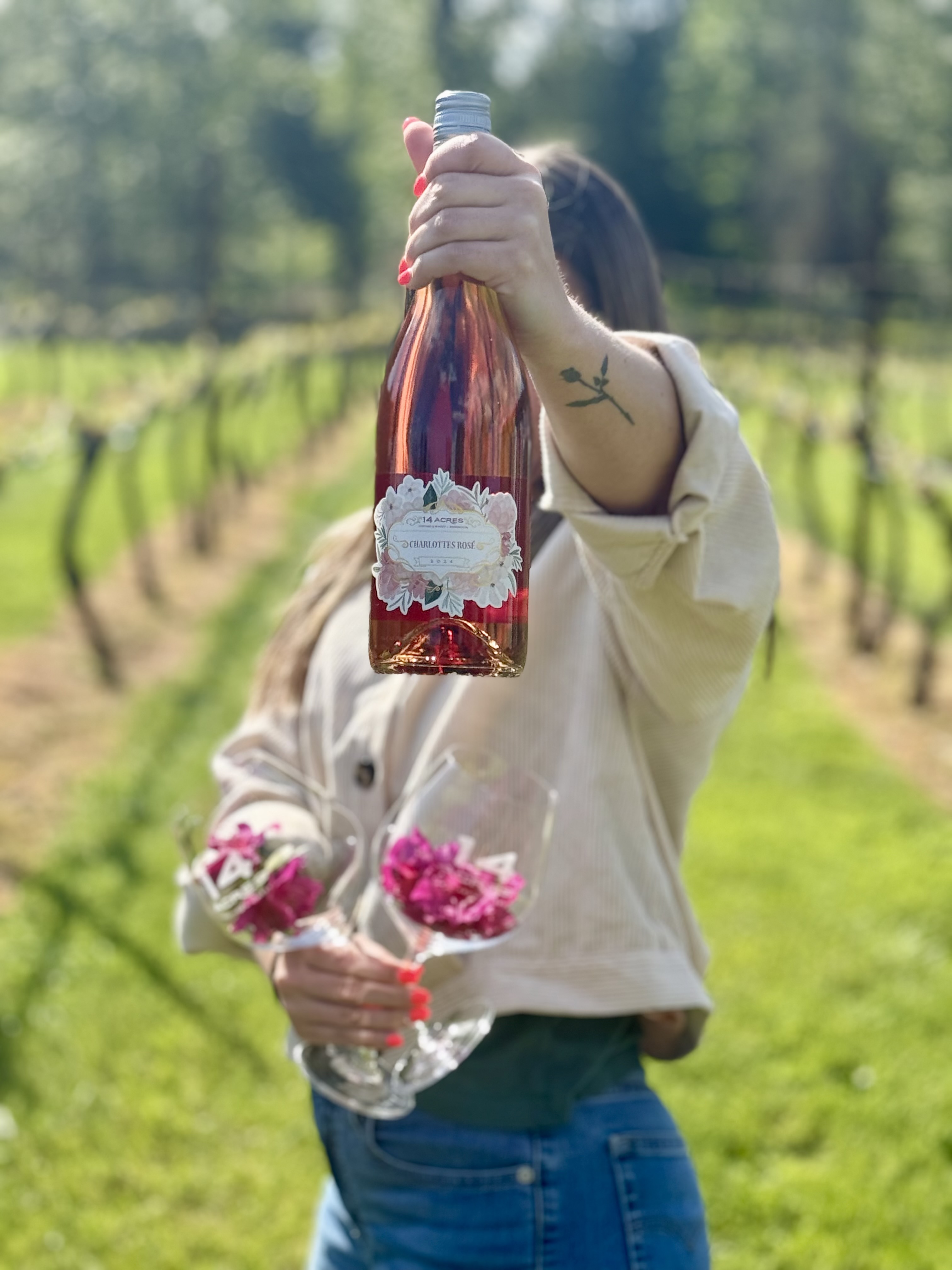 Rows of vines at 14 Acres Vineyard and Winery