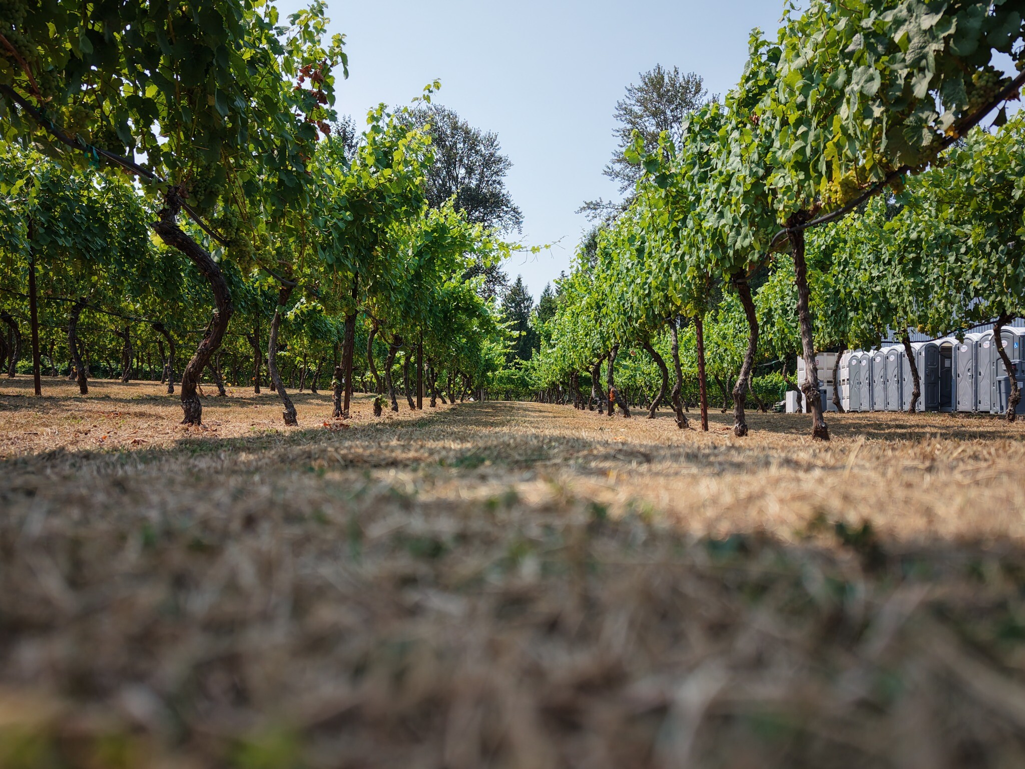 Tasting a glass of wine in the 14 Acres tasting room