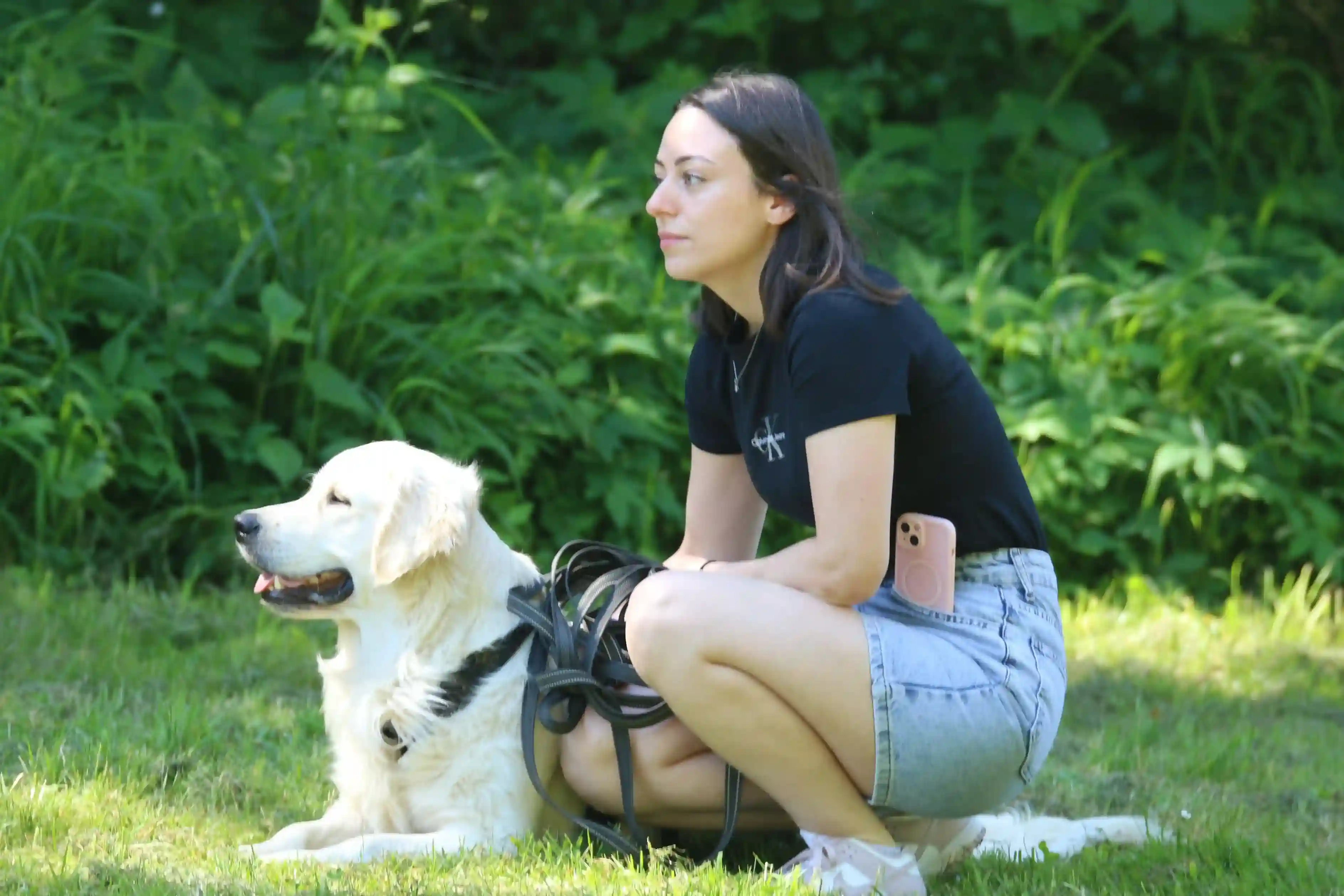 Chien en balade éducative dans le Territoire de Belfort
