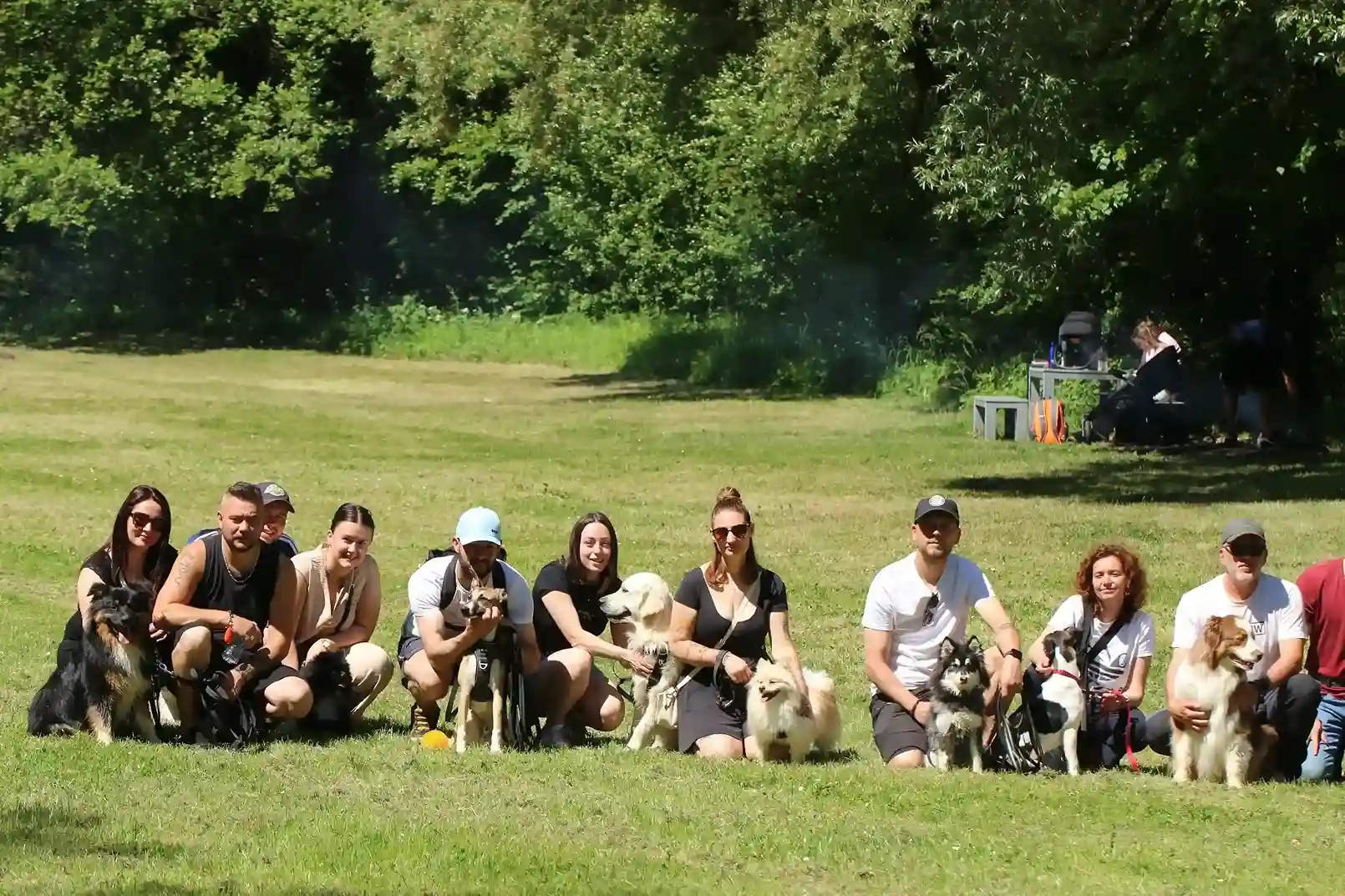 Chien en balade éducative