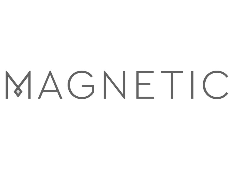 Magnetic Ventures