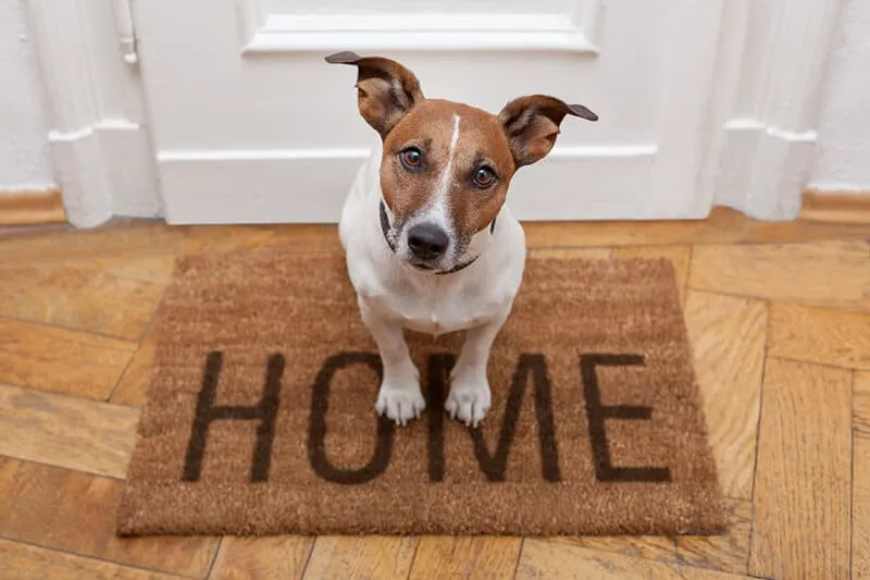 A tech being greeted by a customer at the door to their house.