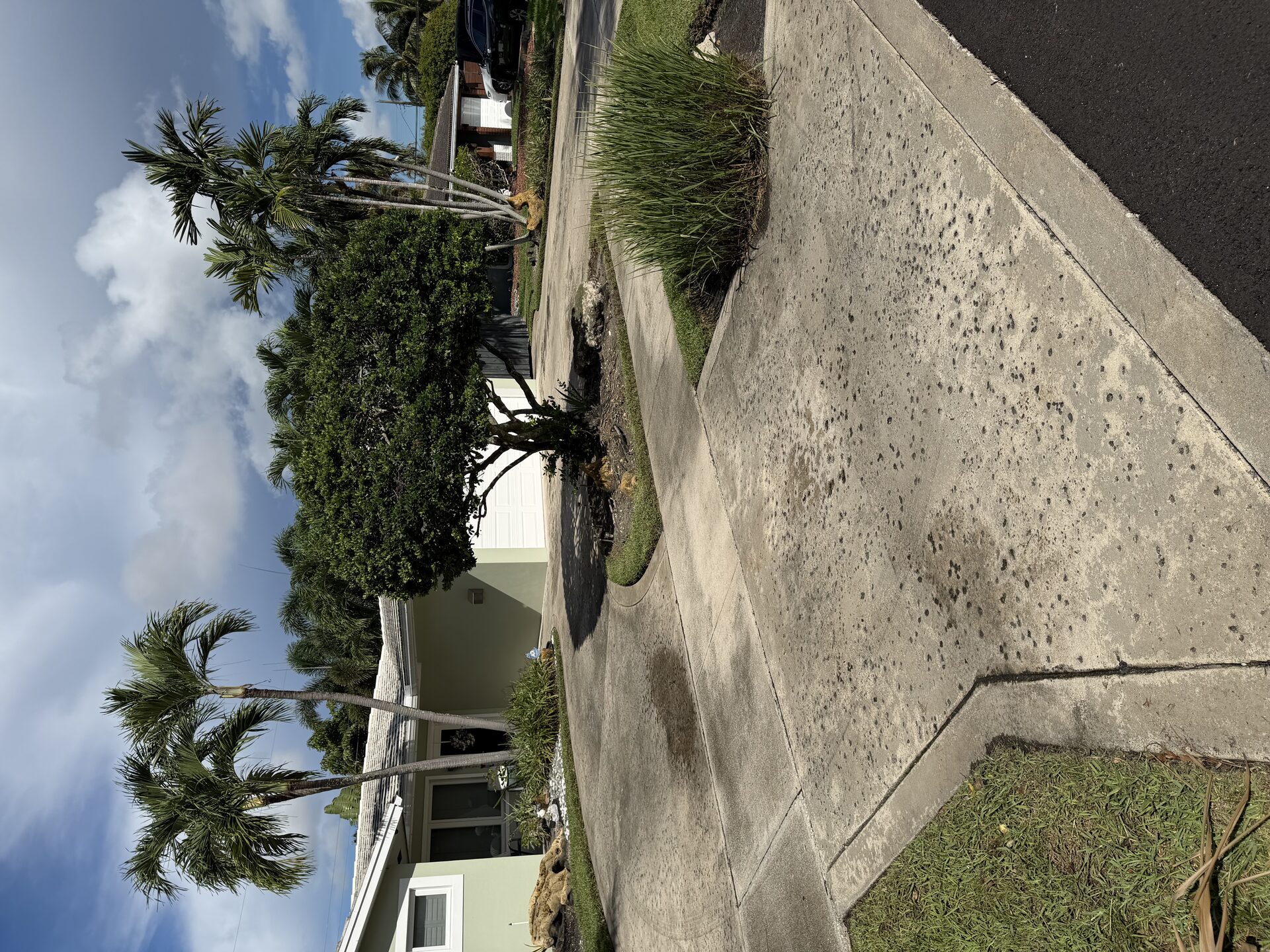 Driveway before pressure washing Fort Lauderdale