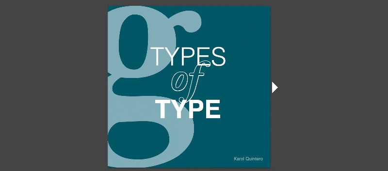 Animated GIF showing a square tile with the large letter 'g' in a light blue tone and the words 'TYPES of TYPE' in white and blue fonts on a dark teal background, rotating horizontally.