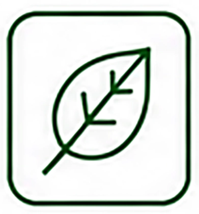 Simple black outline of a leaf with visible veins inside a rounded square border on a white background.