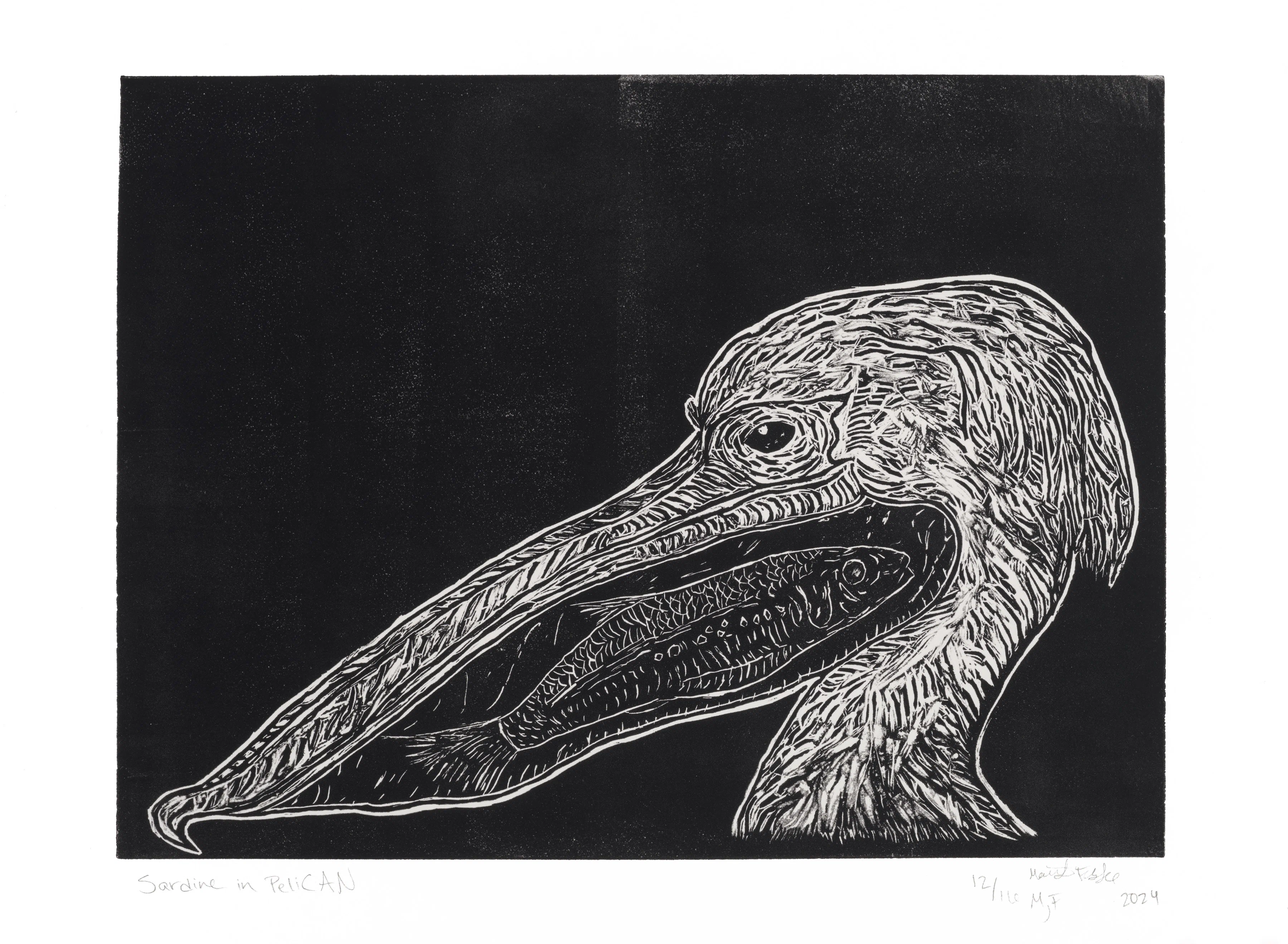 Black and white woodcut-style illustration of a pelican's head in profile with a detailed sardine inside its open beak.