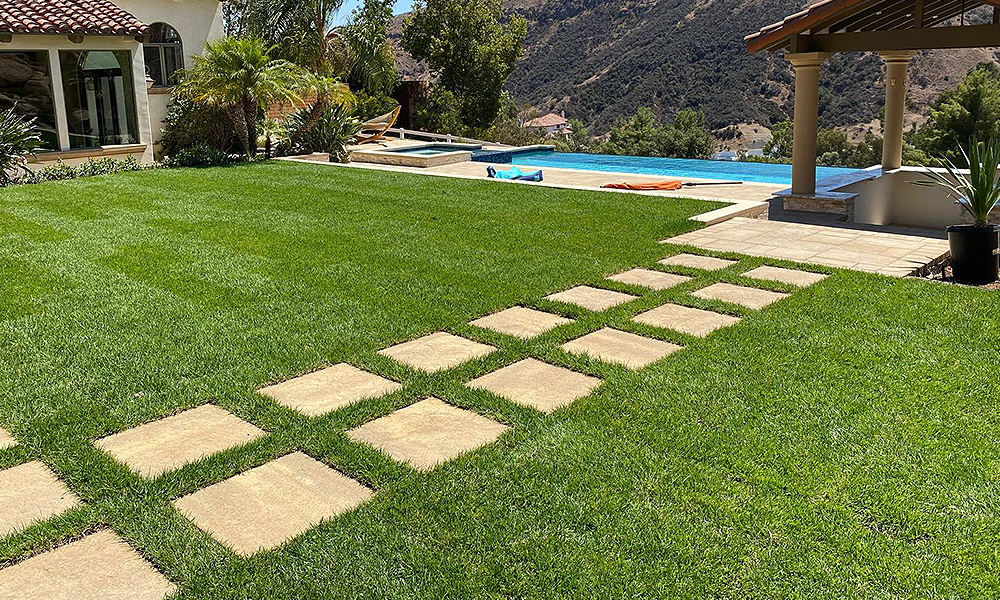 Full backyard remodel with pool, patio and turf