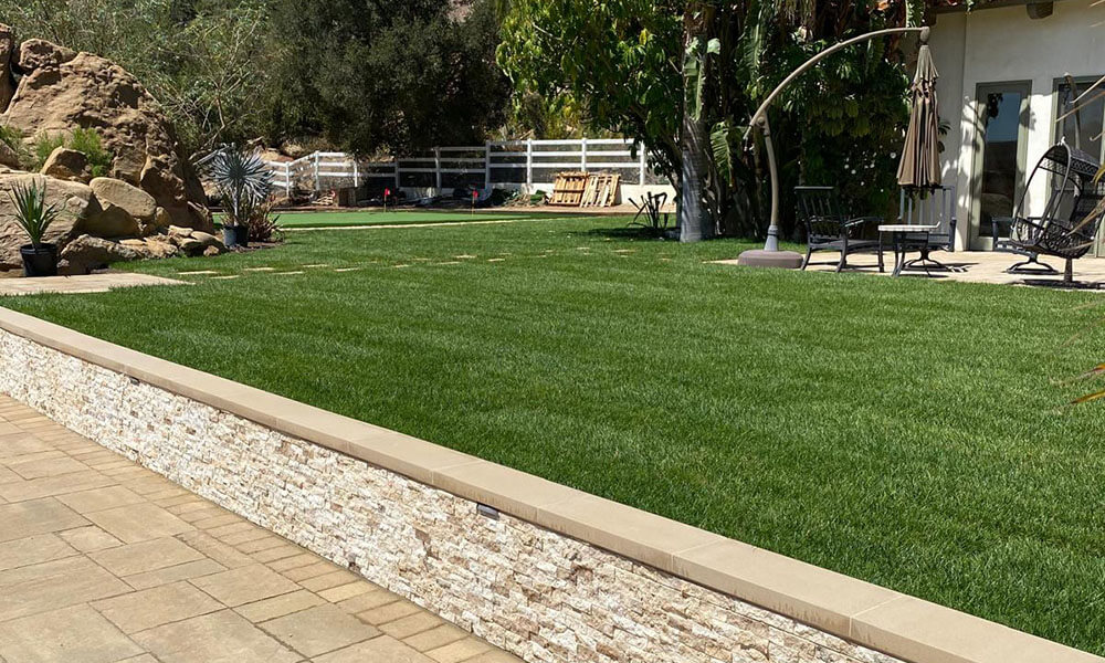 Artificial turf lawn