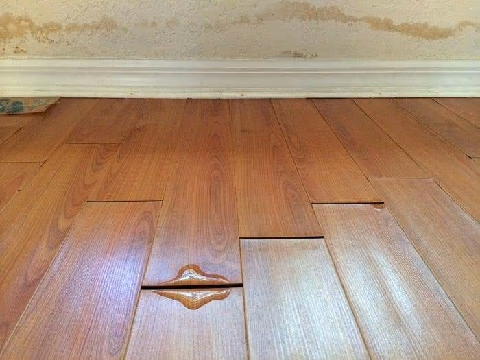 Mold & Mildew: How To Tell If There’s a Problem