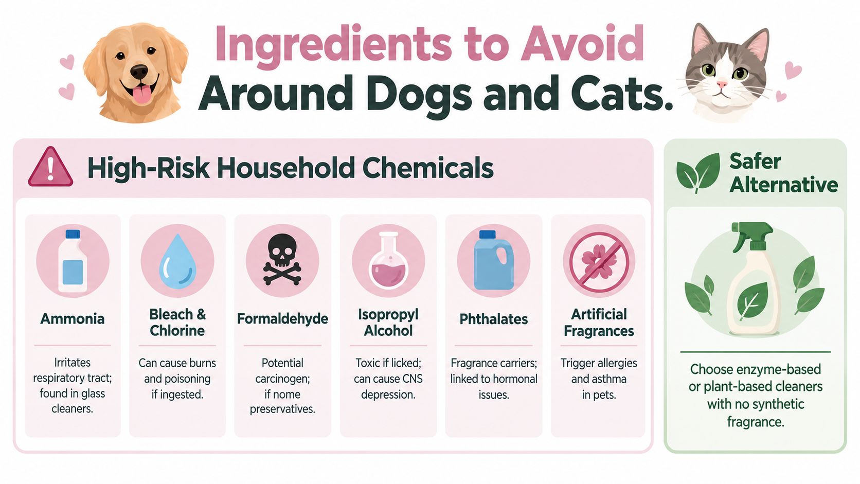 An infographic showing common household chemicals to avoid around dogs and cats for pet safety.