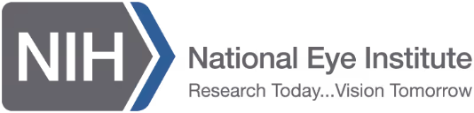 NEI logo