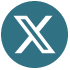 X logo icon