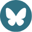 Bluesky logo icon
