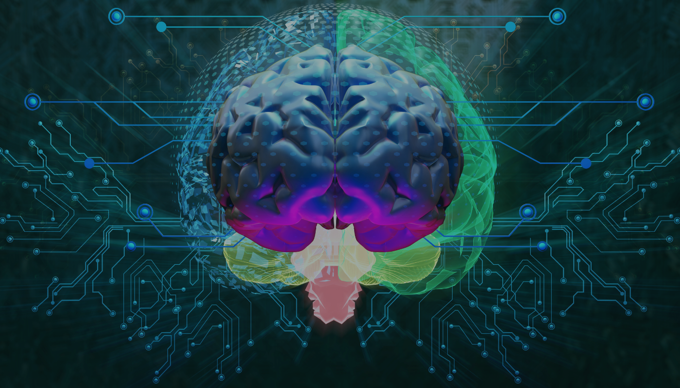 human brain as a computer