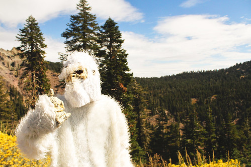 lost yeti