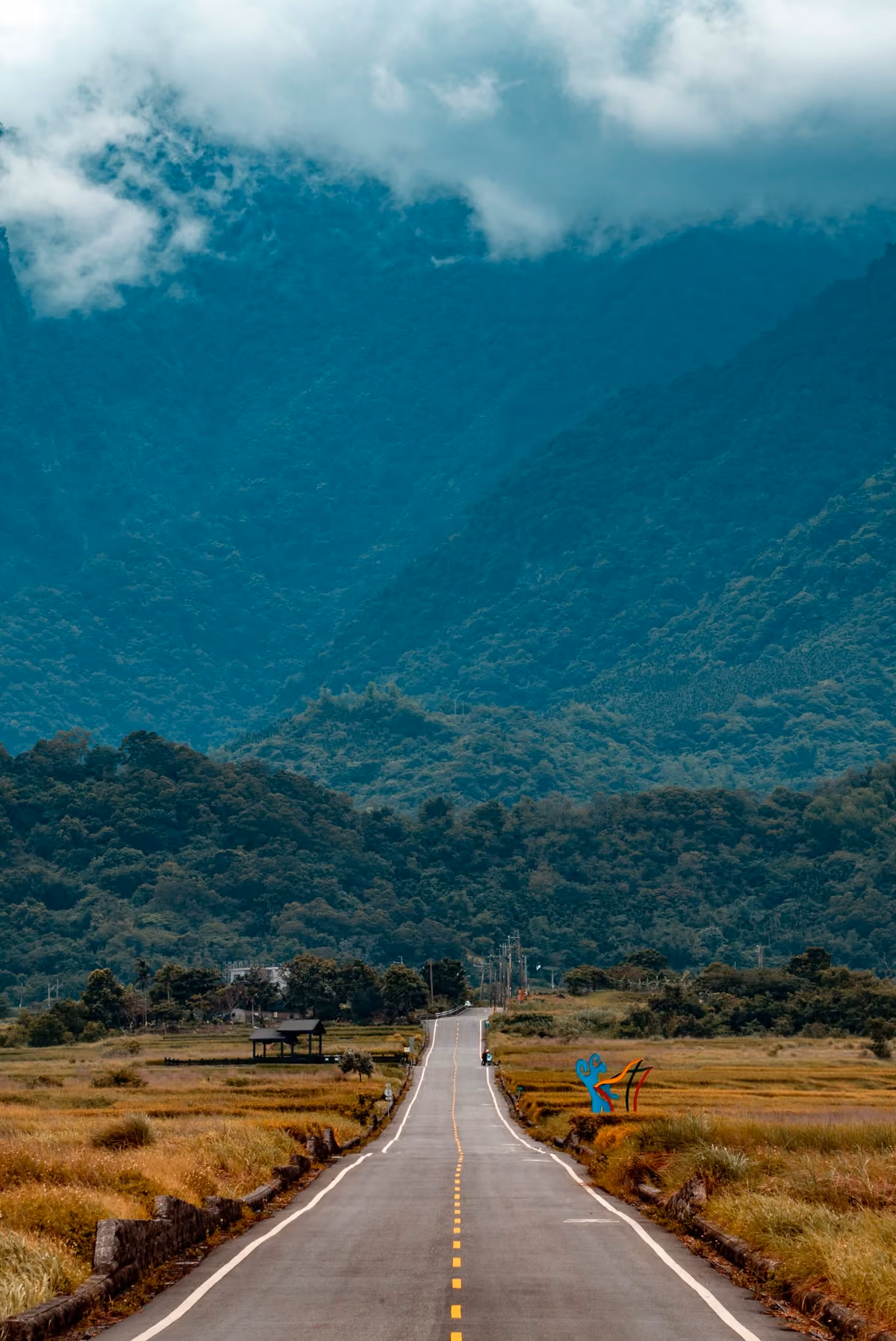 Roadway through a forested valley