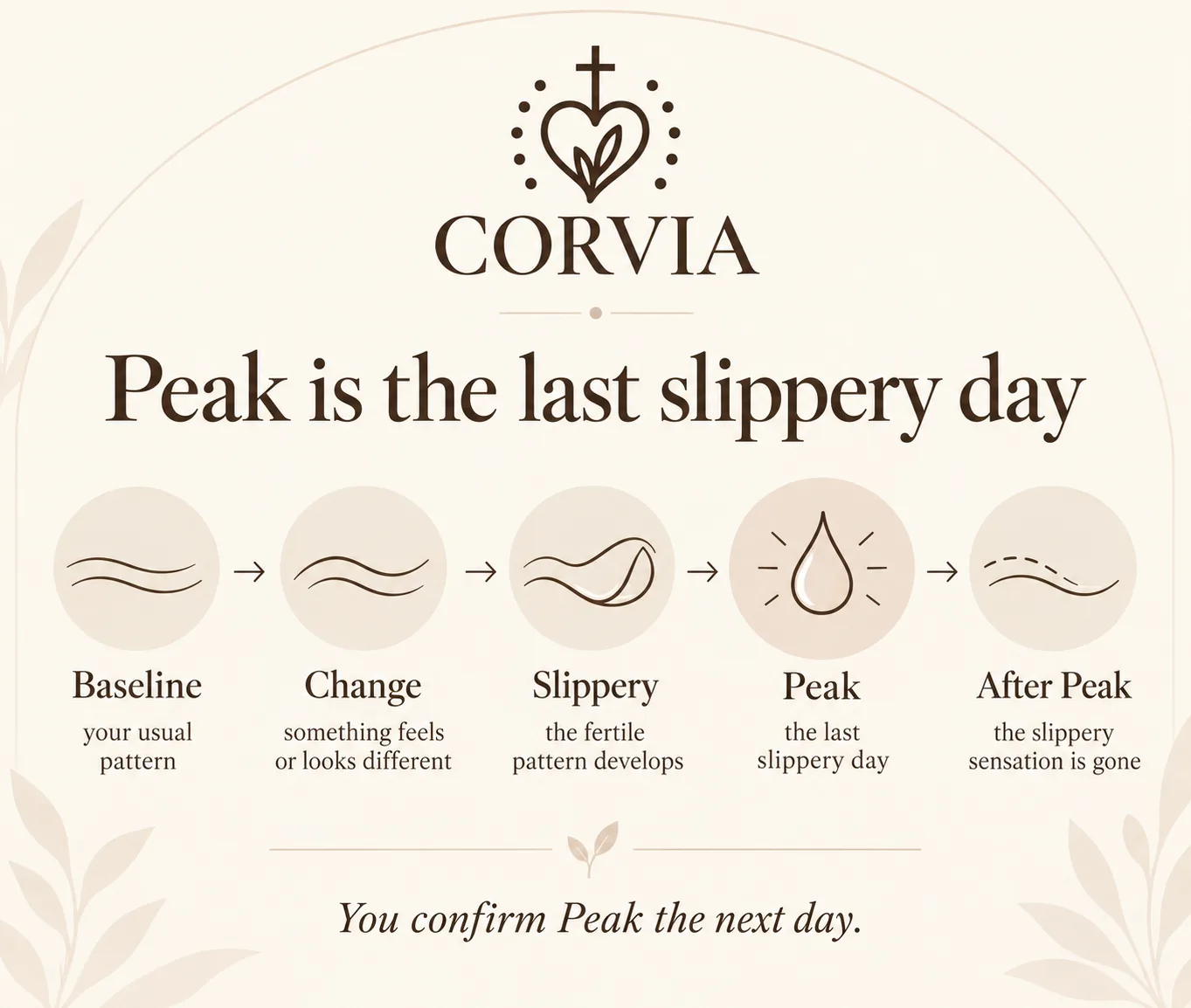 Corvia graphic: the pattern from baseline to change to slippery to Peak to after Peak, with Peak confirmed the next day