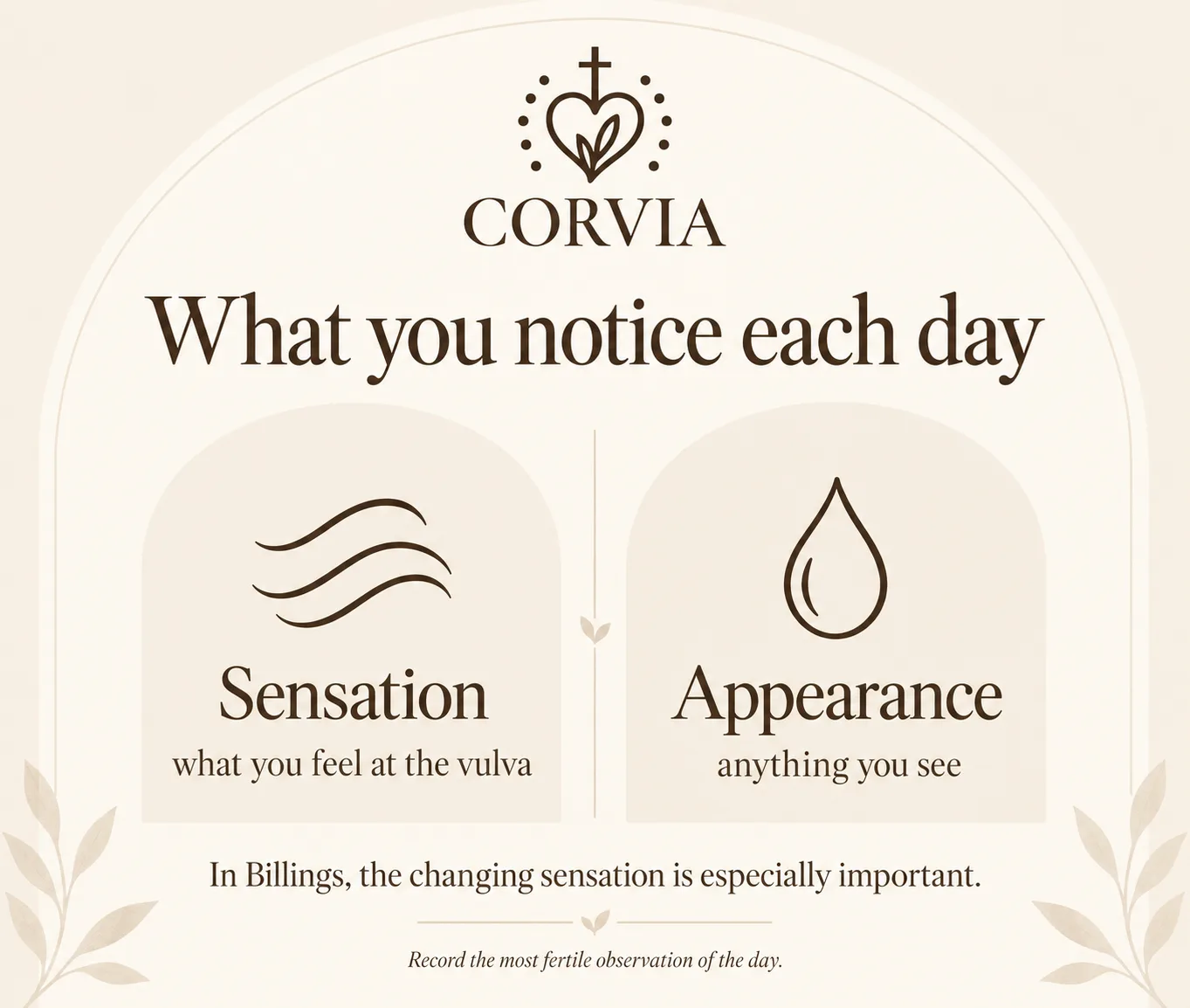 Corvia graphic: what you notice each day, the sensation you feel at the vulva and the appearance of anything you see