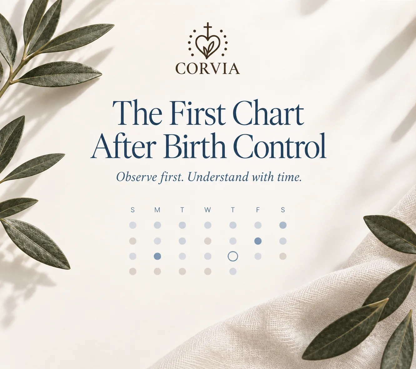 An overhead scene of a coffee cup and olive branches beside a simple dotted week chart