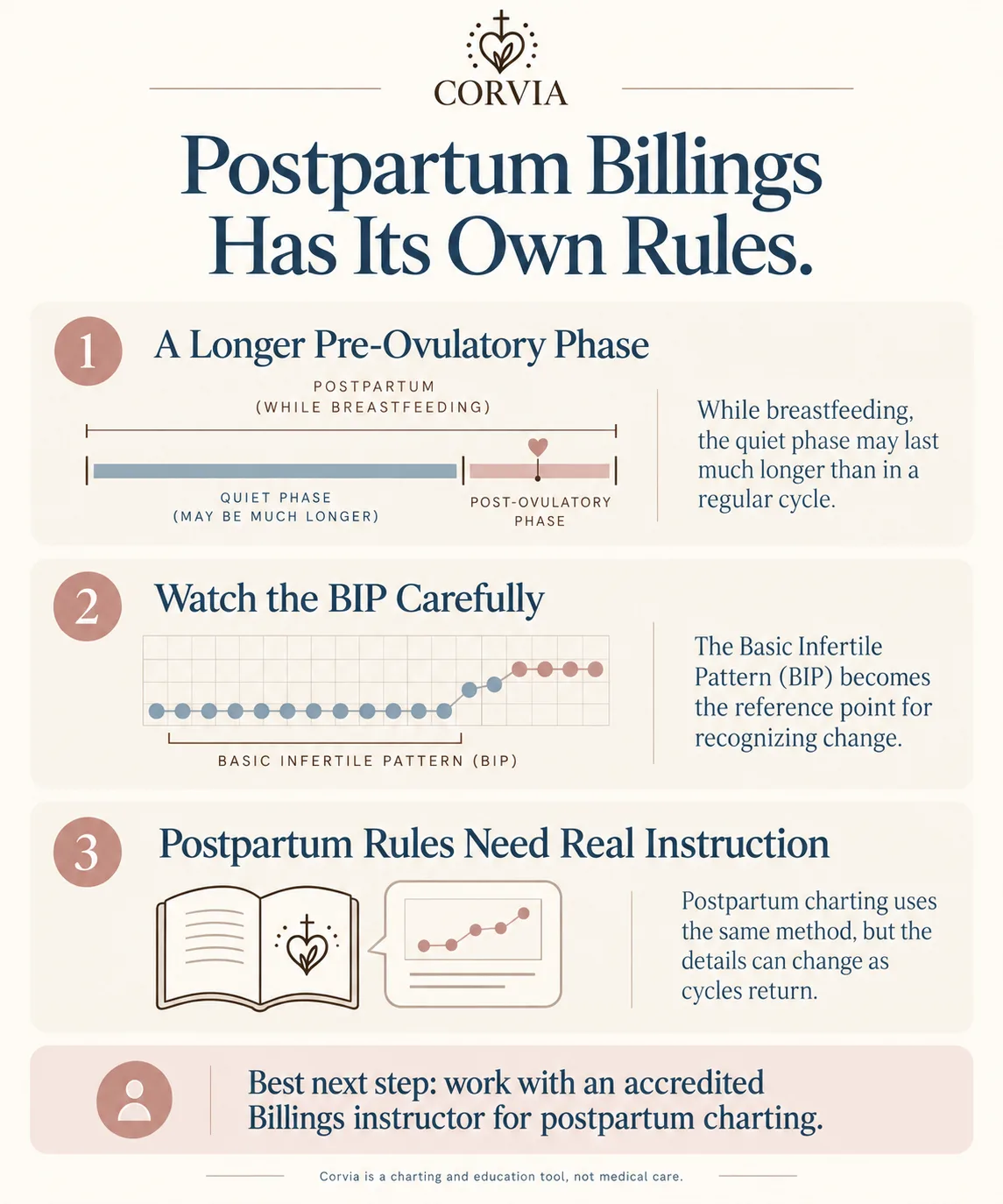 Postpartum Billings has its own rules: a longer pre-ovulatory phase, watching the Basic Infertile Pattern carefully, and the need for real instruction.