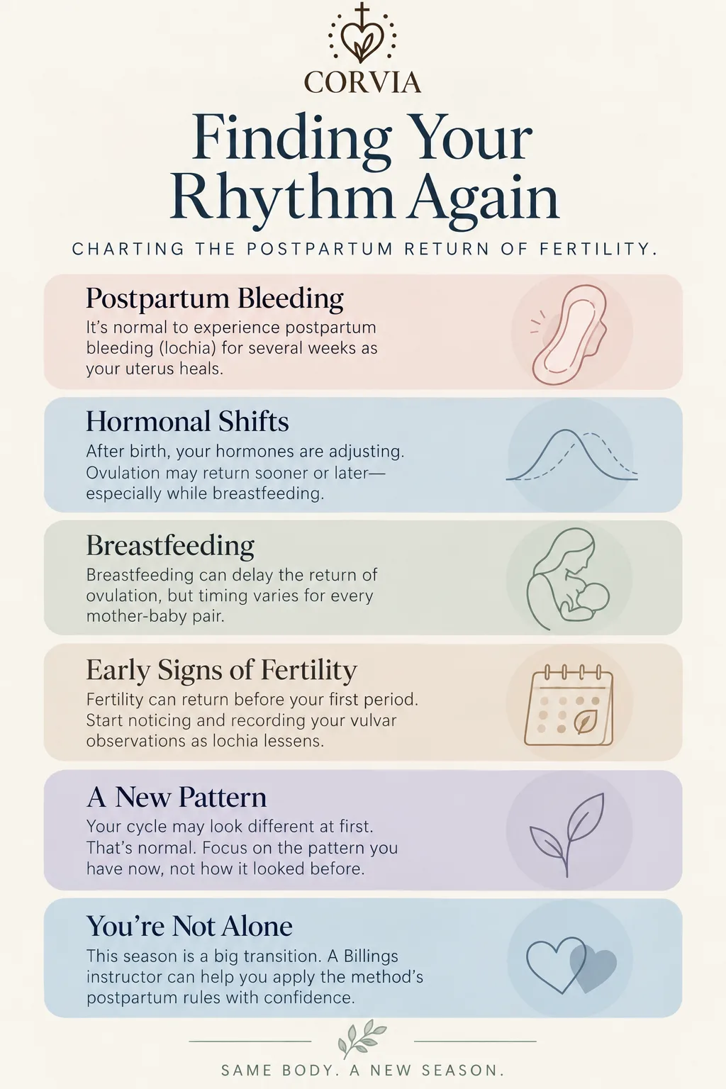 Charting the postpartum return of fertility: postpartum bleeding, hormonal shifts, breastfeeding, early signs of fertility, a new pattern, and support.