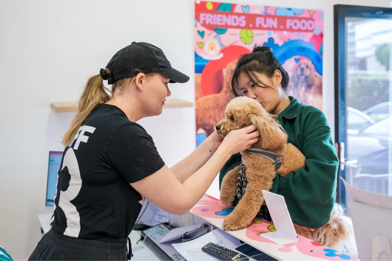 Woman holding a brown poodle while a staff member in a cap gently touches the dog at a pet store counter.