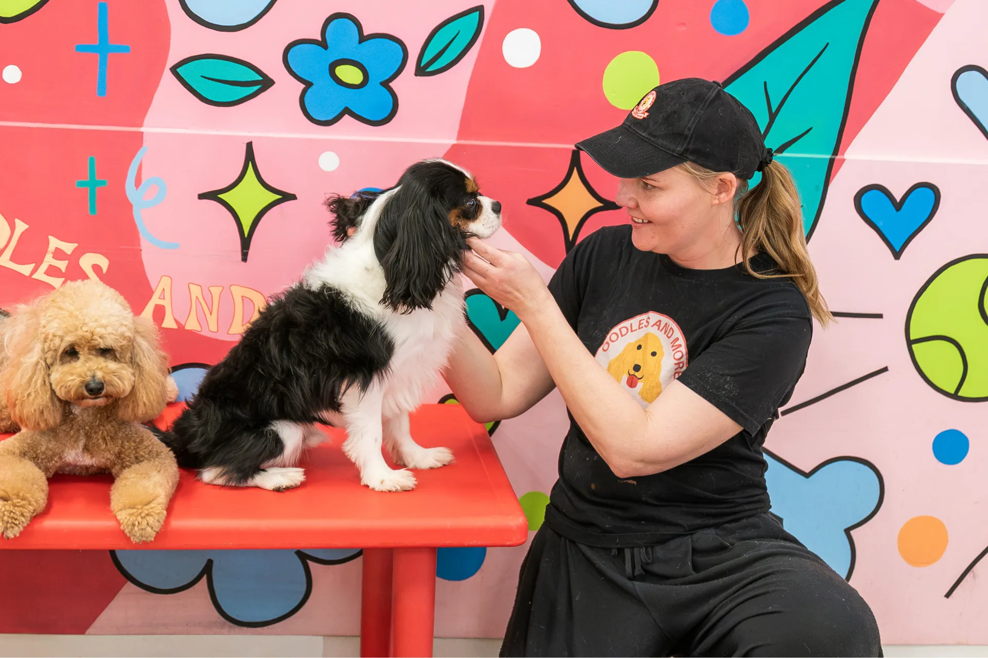 Woman in black shirt and cap gently holding a black and white dog on a red table next to a brown dog.
