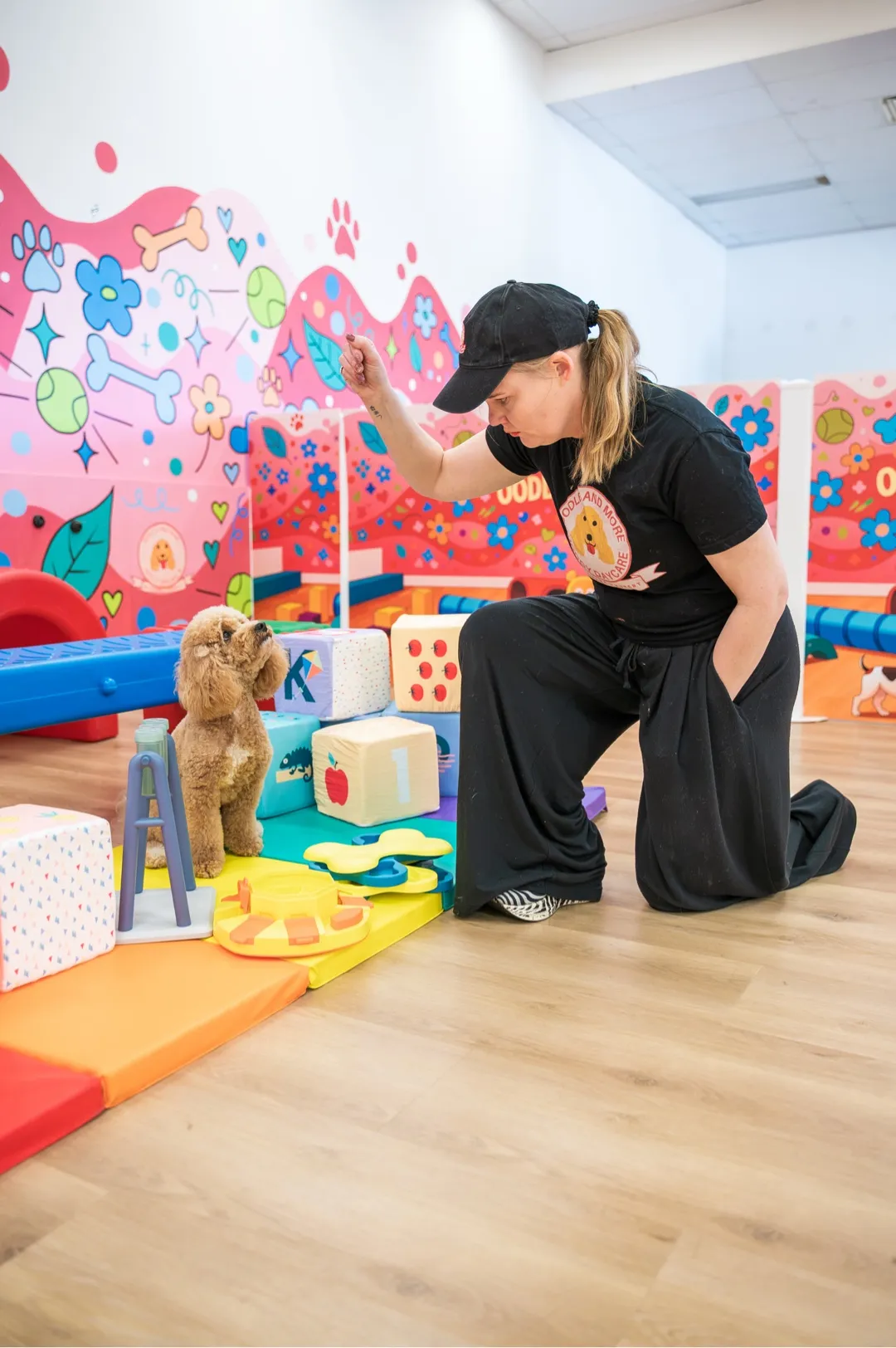 Woman training a small brown poodle inside a colorful dog daycare playroom.