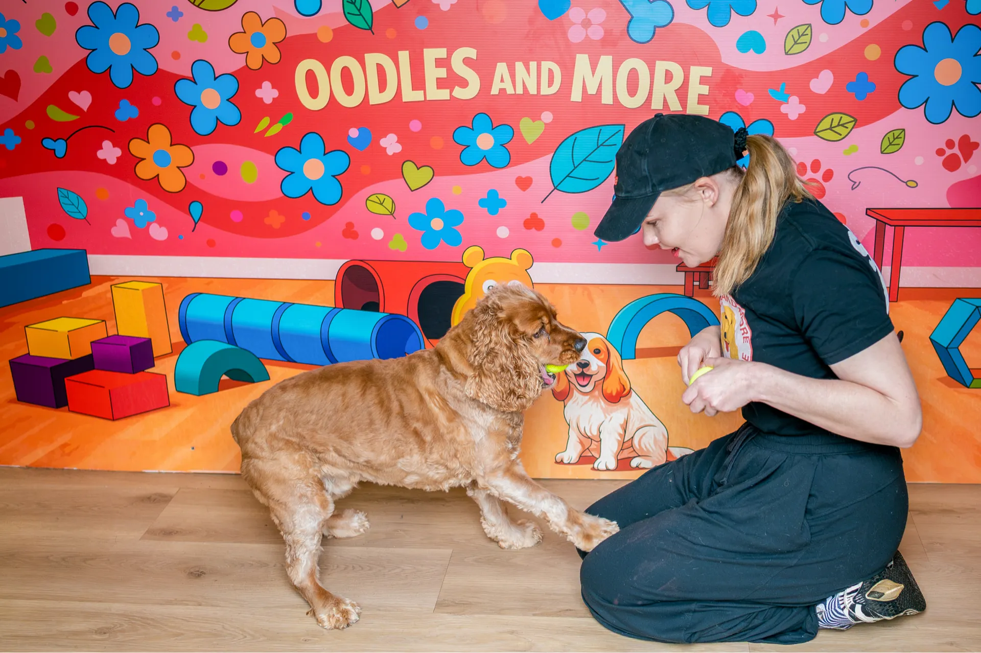 Woman kneeling and playing with a brown dog holding a ball, colorful wall with 'OODLES AND MORE' text behind.