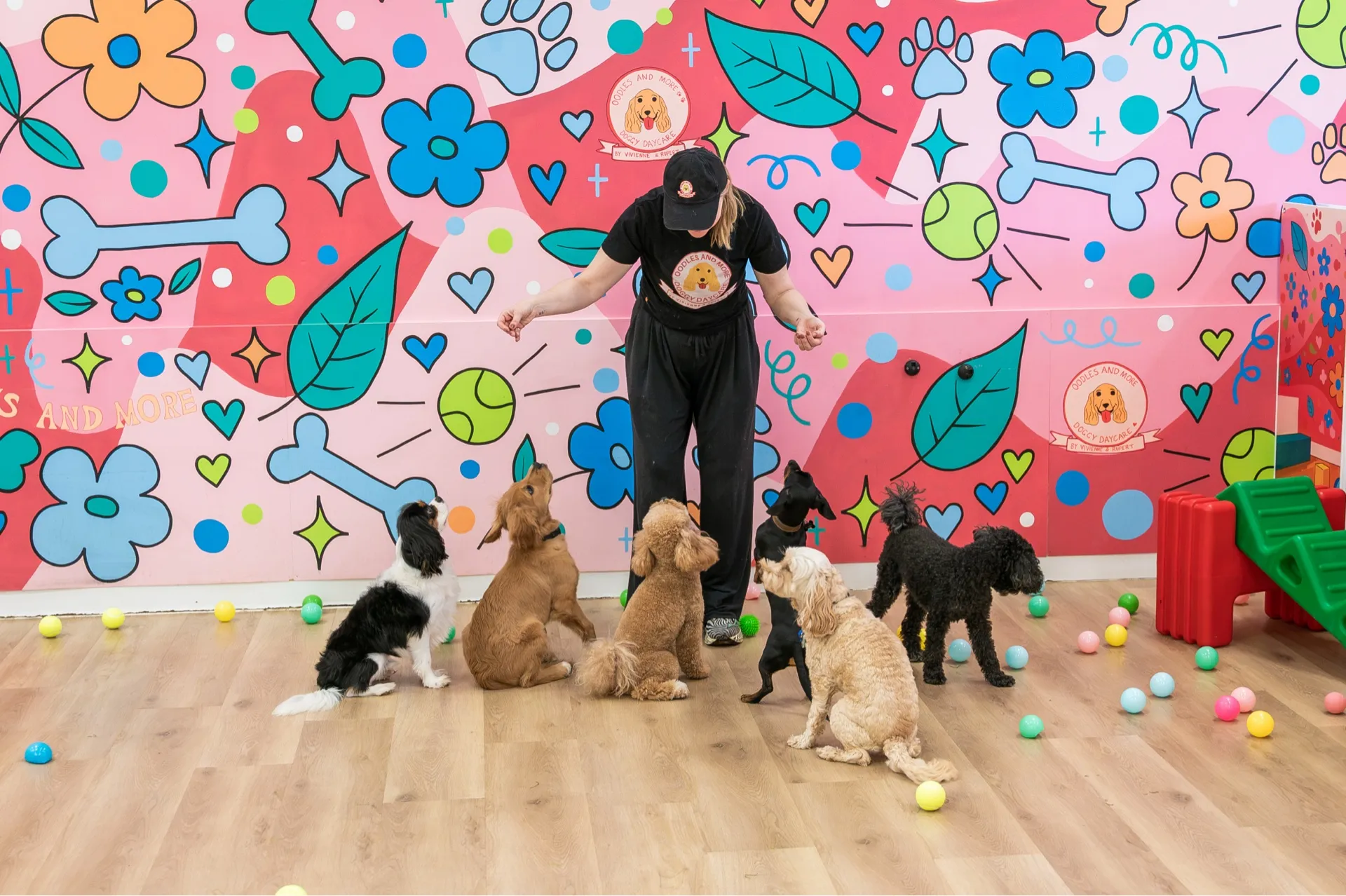 Woman training six attentive dogs in a colorful playroom with playful wall art and scattered balls.