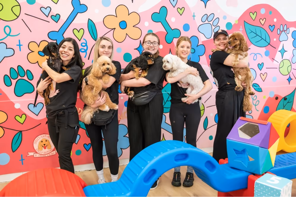 Five smiling women dressed in black holding small dogs in a colorful indoor play area with cartoon bones, flowers, and paw prints on the wall.