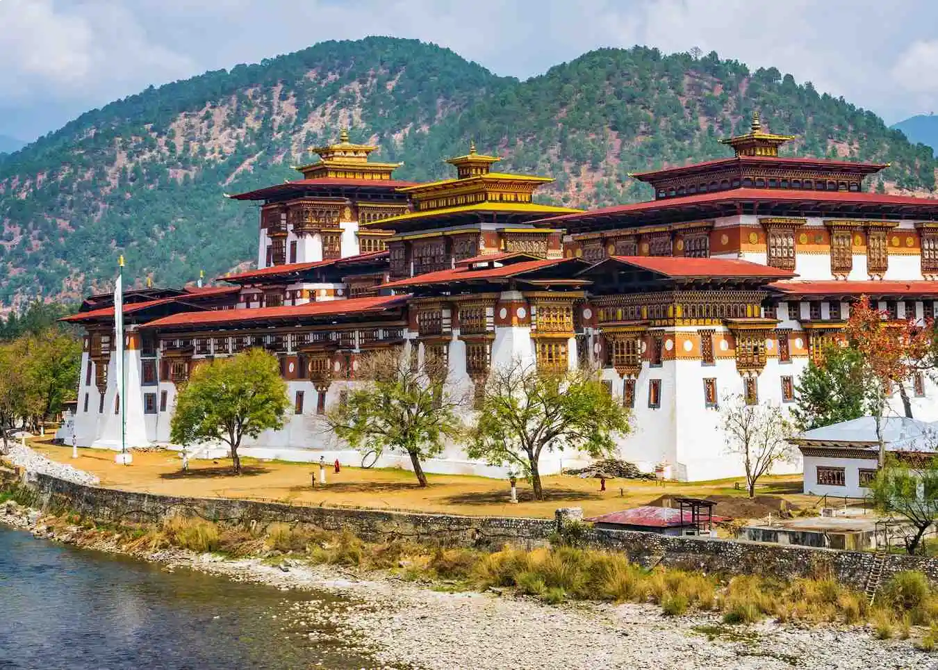 Experience Local Culture Like Never Before Authentically