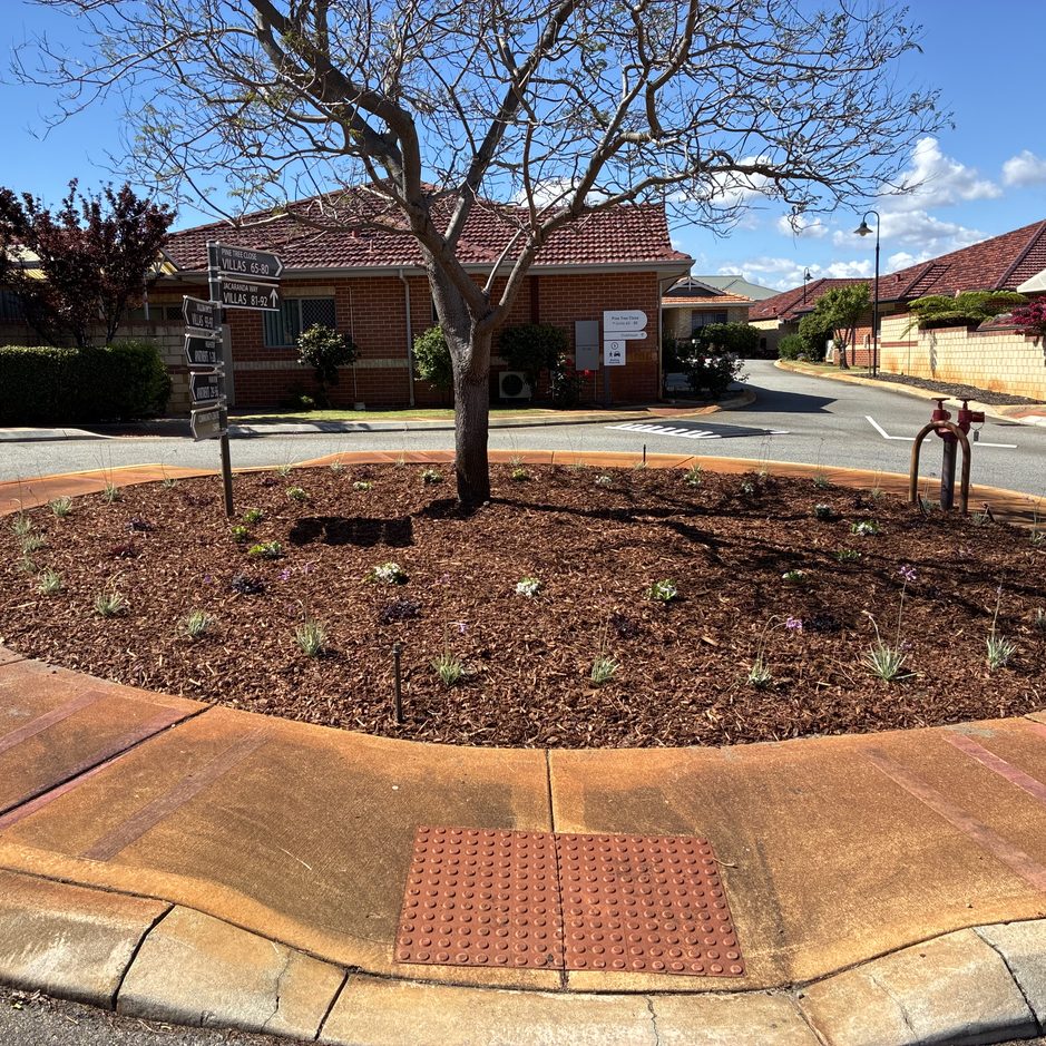 Mulched roundabout garden bed with a tree at a retirement village