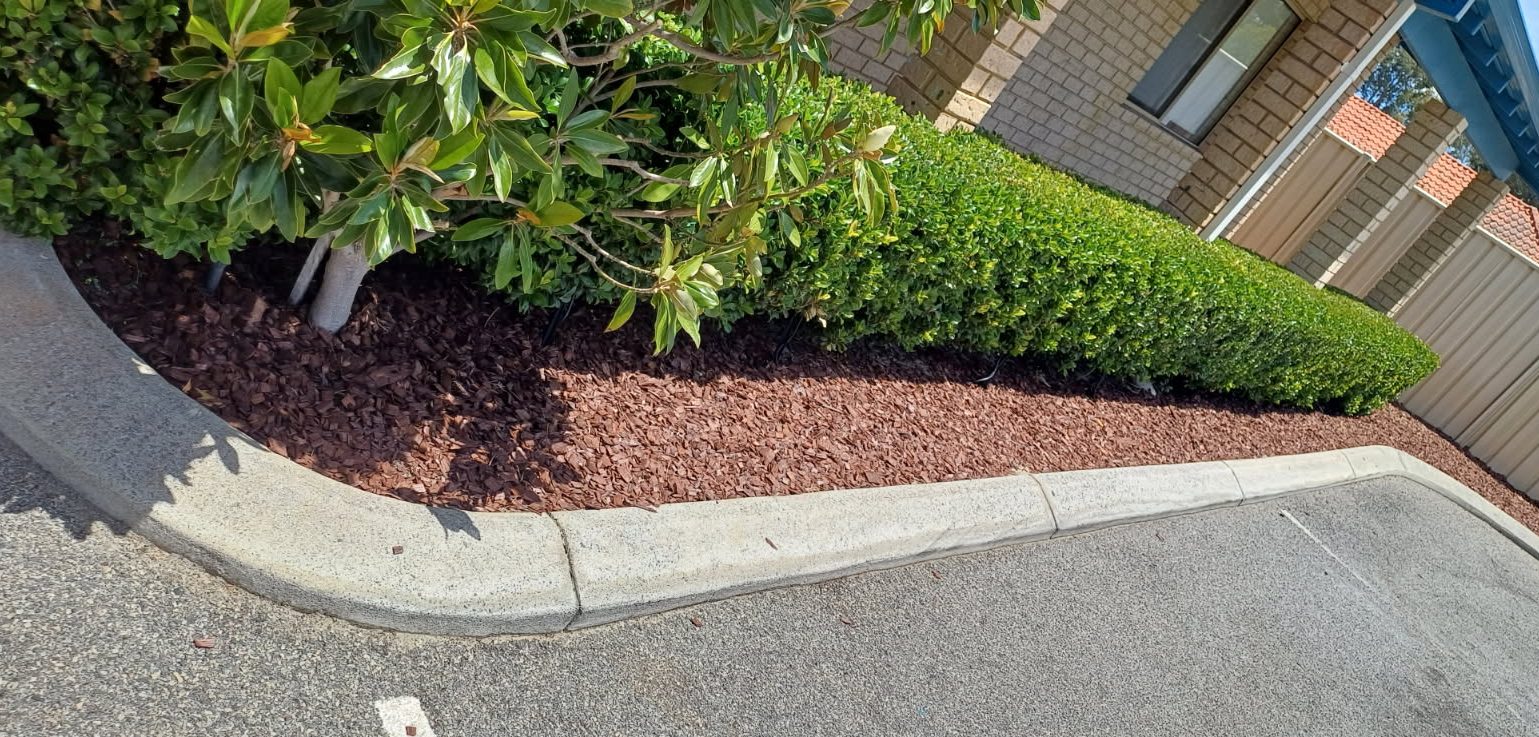 Trimmed hedge and fresh mulch along a kerbed driveway