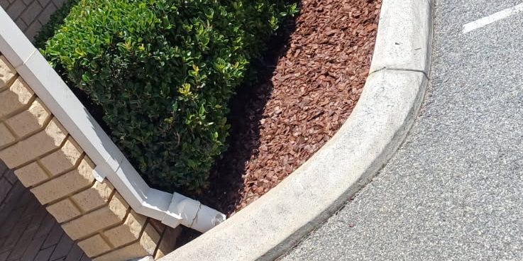 Young hedge and fresh mulch beside a building and driveway