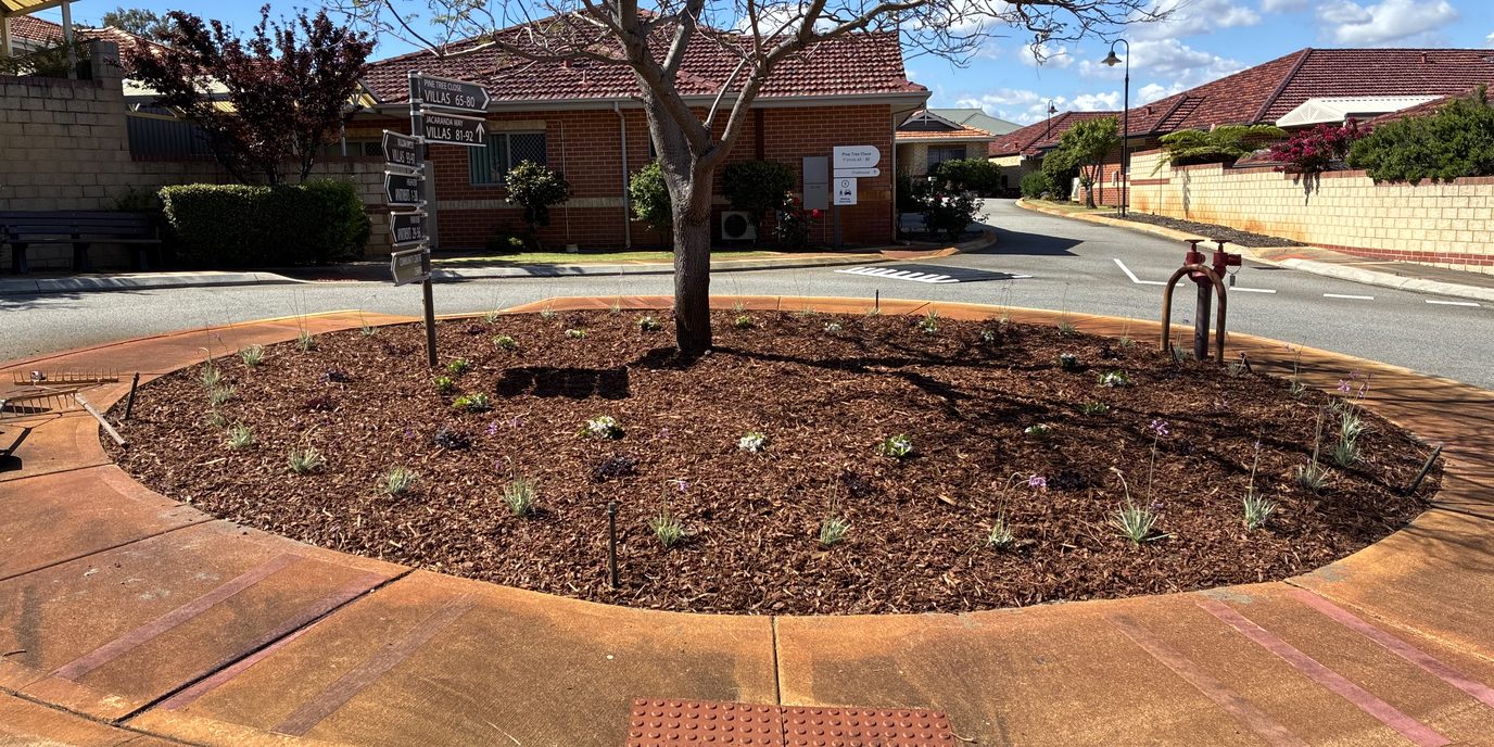 Mulched roundabout garden bed with a tree at a retirement village