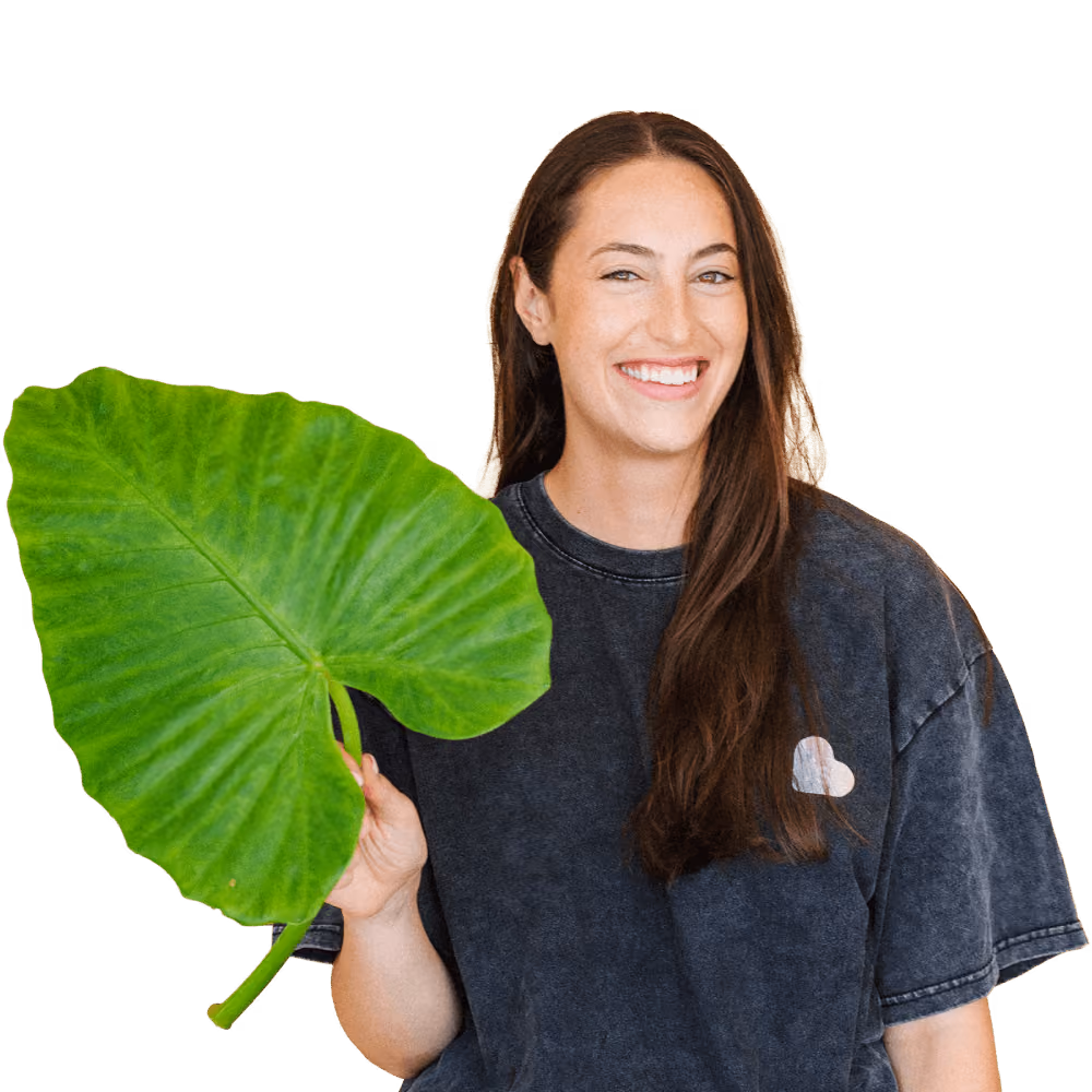 Image of Krissy