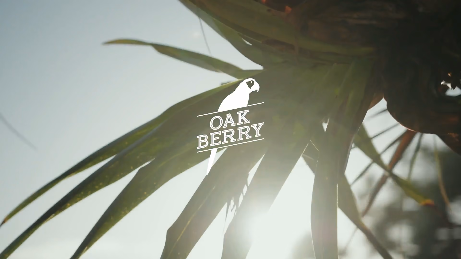 Oakberry